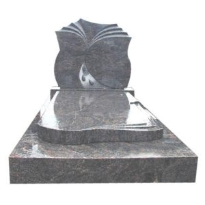Model 7