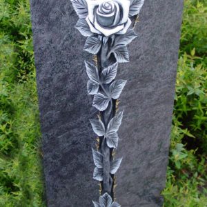 Roos in pilaar